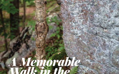 A Memorable Walk in the Woods – Article South Shore Living 10/18